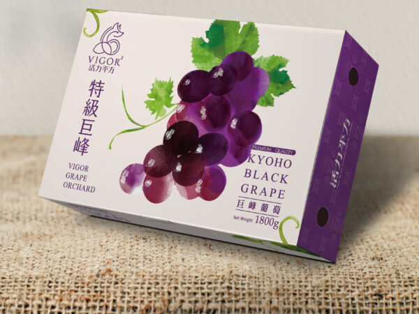 葡萄水果公版禮盒